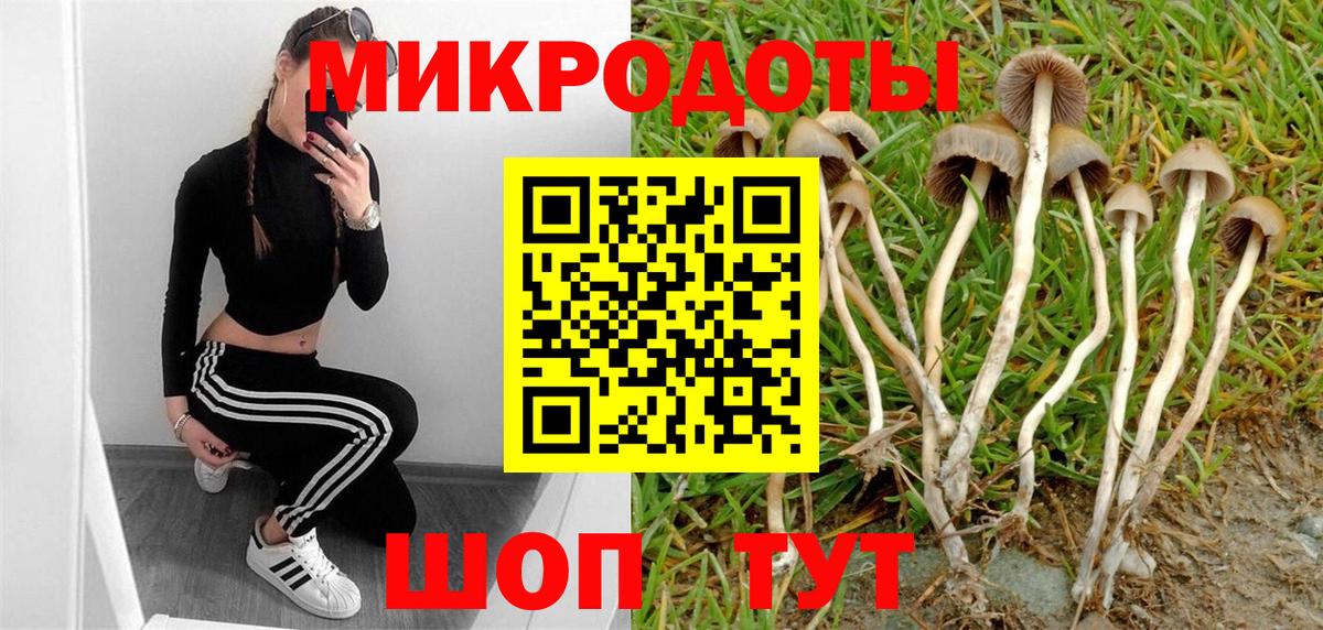 Галлюциногенные грибы мухоморы  Вход с VPN  Иваново  Галлюциногенные грибы мицелий 